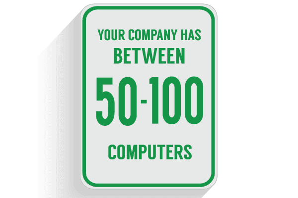Virtual CIO Service for 50-100 computers